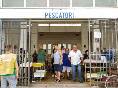 A Mola invece sono presenti decine di bancarelle. Queste ultime si dividono tra quelle dei pescatori con il loro il pesce freschissimo appena catturato...